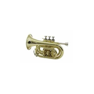 DiMavery TP-300 Bb Pocket Trumpet, Guld