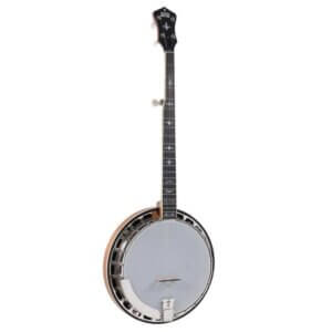 Recording King RK-R35 BR banjo