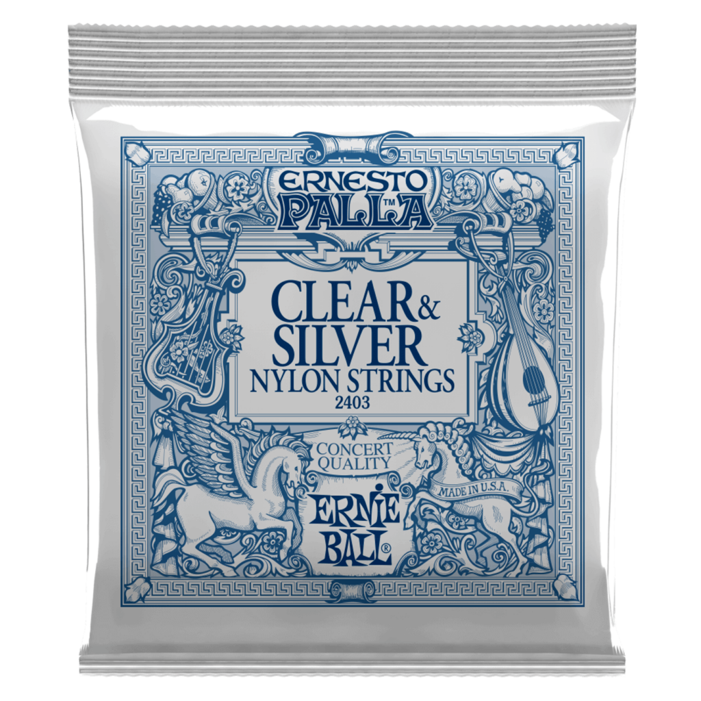 ernie ball silver guitarstrenge