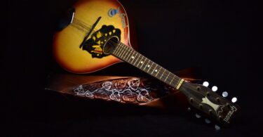 mandolin