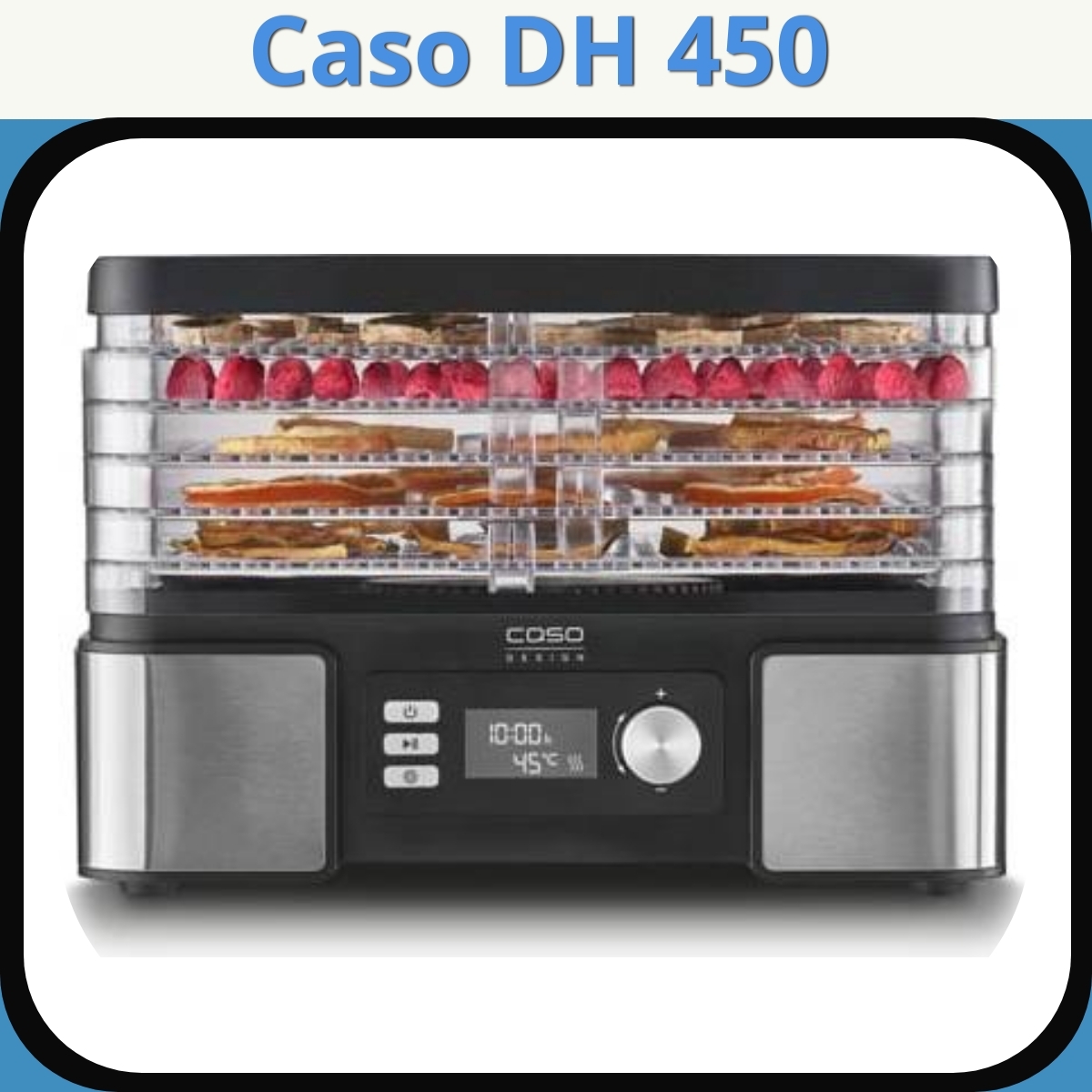 Anmeldelse af Caso DH 450