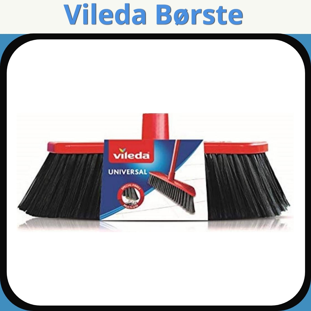 Anmeldelse af Vileda Børste