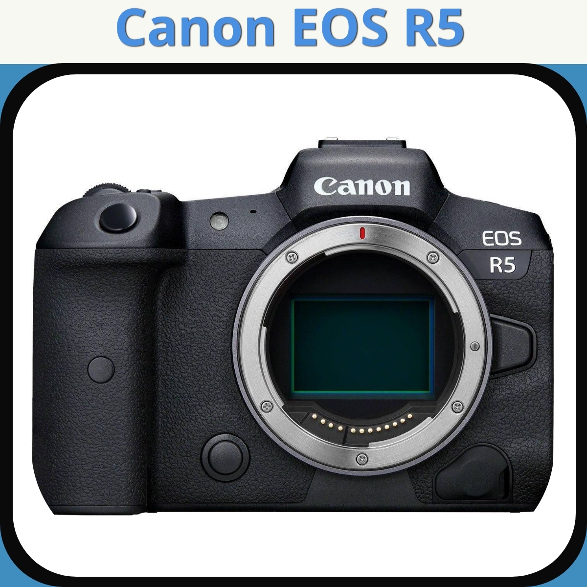 Anmeldelse af Canon EOS R5