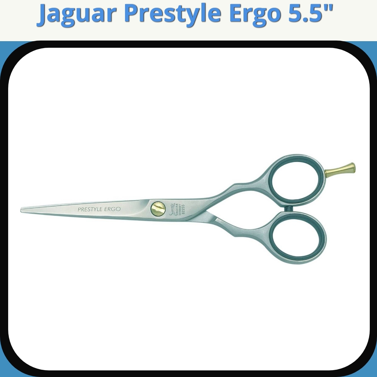 Anmeldelse af Jaguar Prestyle Ergo 5.5