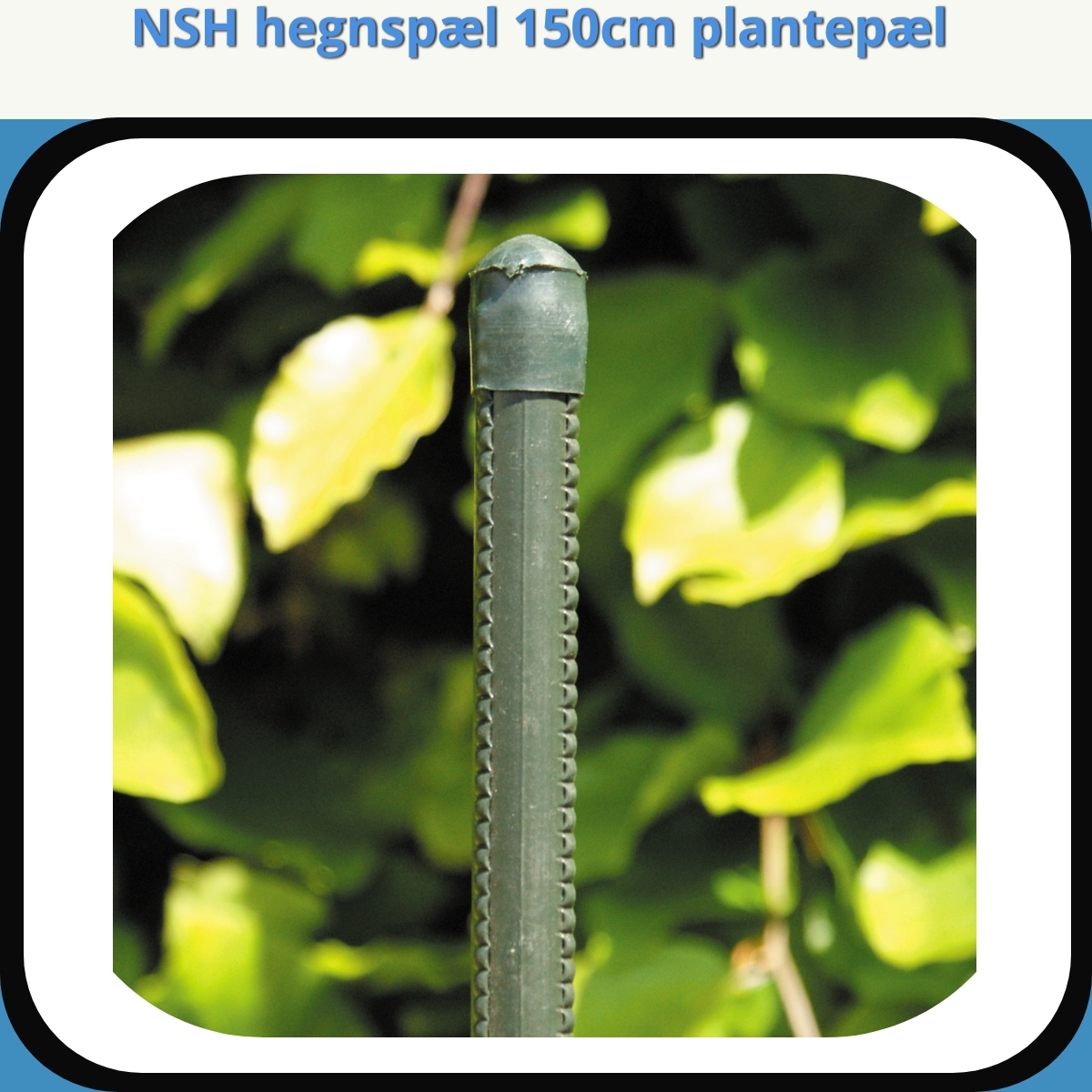 Anmeldelse af NSH hegnspæl 150cm plantepæl