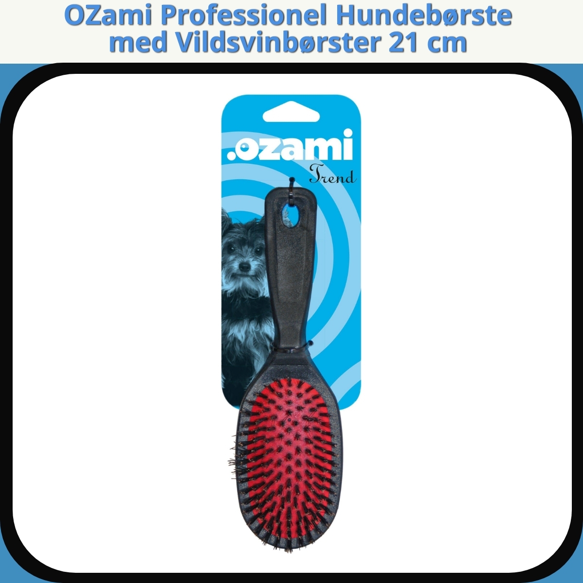 Anmeldelse af OZami Professionel Hundebørste med Vildsvinbørster 21 cm