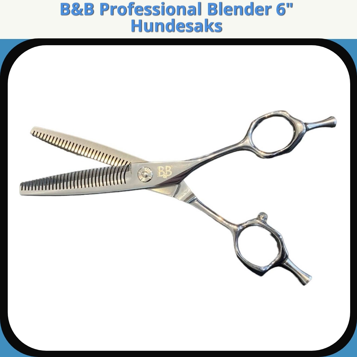 Anmeldelse af B&B Professional Blender 6