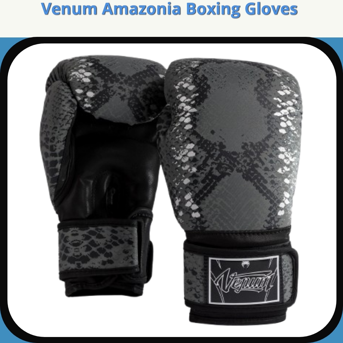 Anmeldelse af Venum Amazonia Boxing Gloves