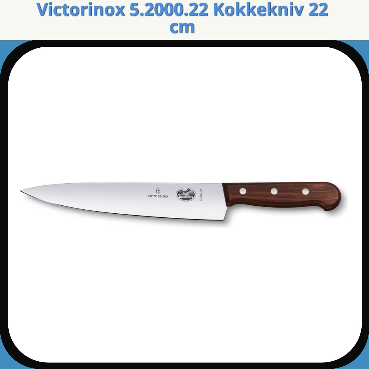 Anmeldelse af Victorinox 5.2000.22 Kokkekniv 22 cm