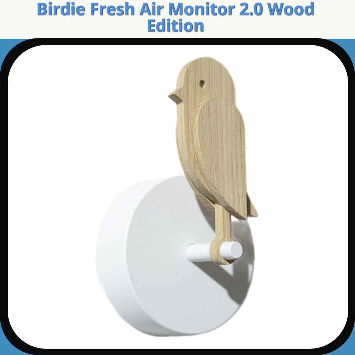 Anmeldelse af Birdie Fresh Air Monitor 2.0 Wood Edition