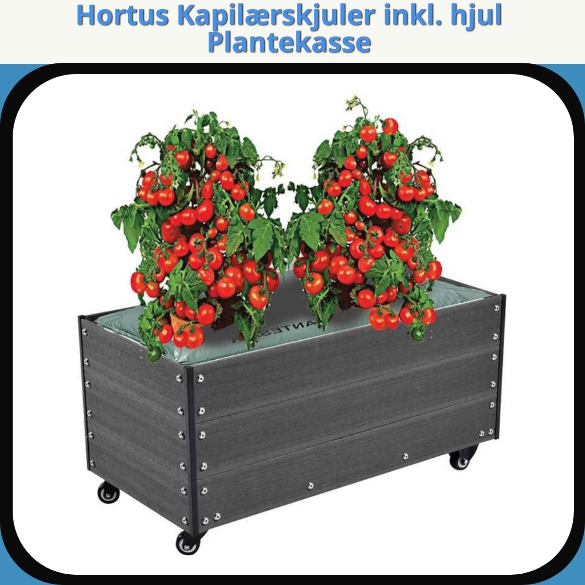 Anmeldelse af Hortus Kapilærskjuler inkl. hjul Plantekasse