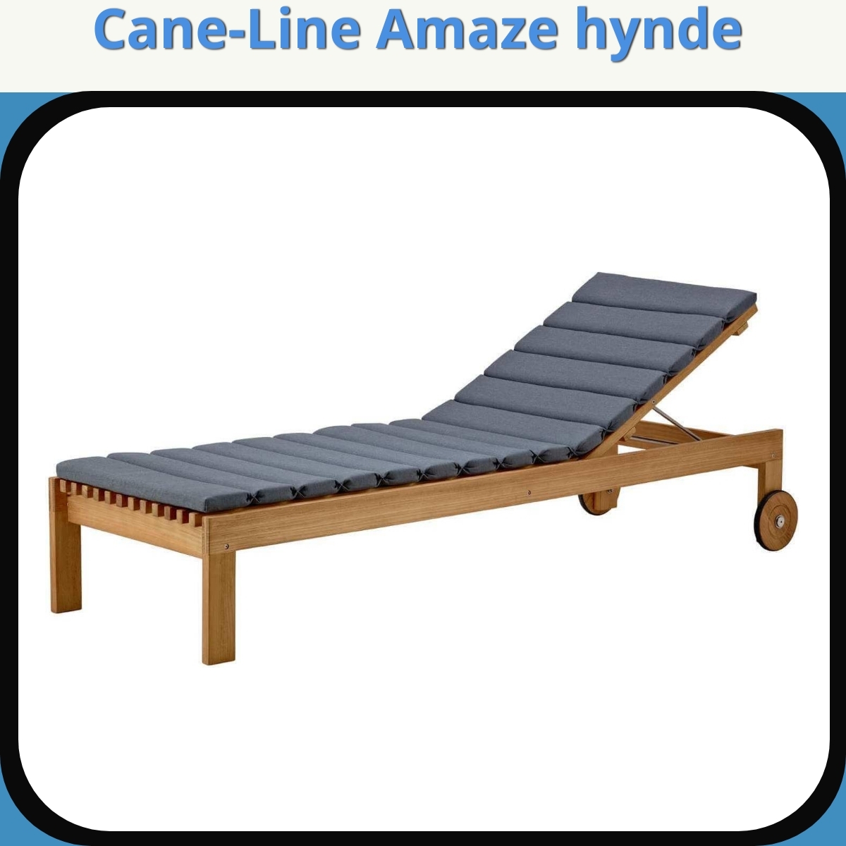 Anmeldelse af Cane-Line Amaze hynde