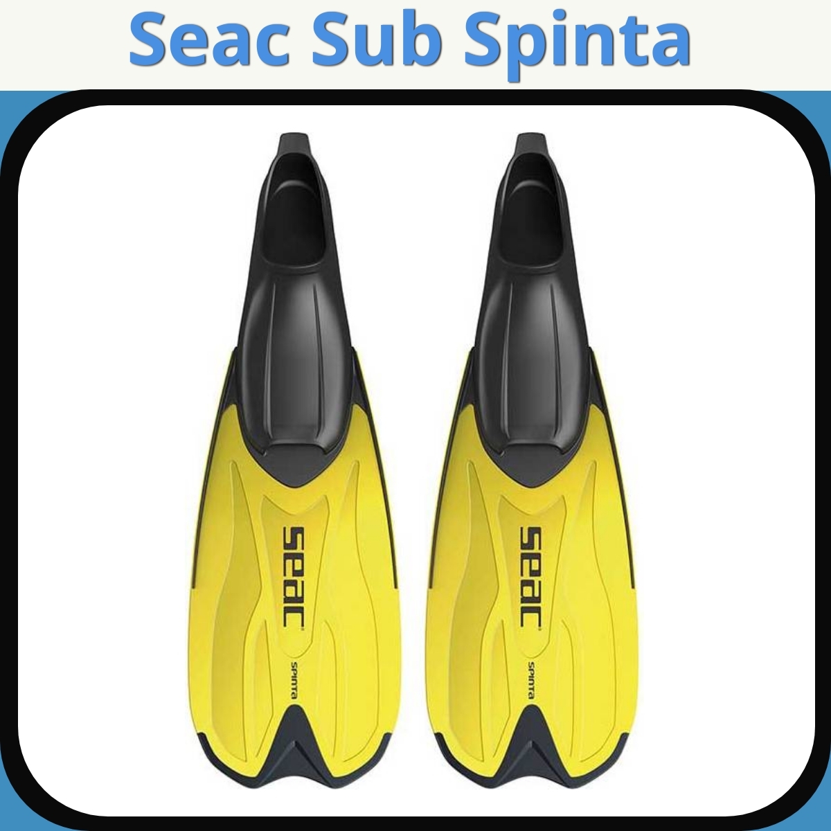 Anmeldelse af Seac Sub Spinta