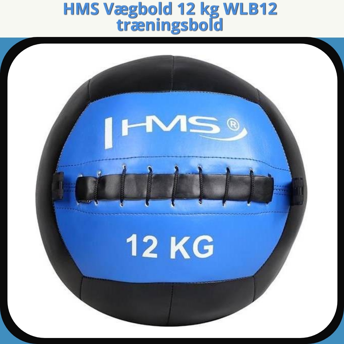 Anmeldelse af HMS Vægbold 12 kg WLB12 træningsbold